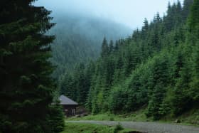 Exciting landscape of the Carpathian hills and forest in a bit foggy weather